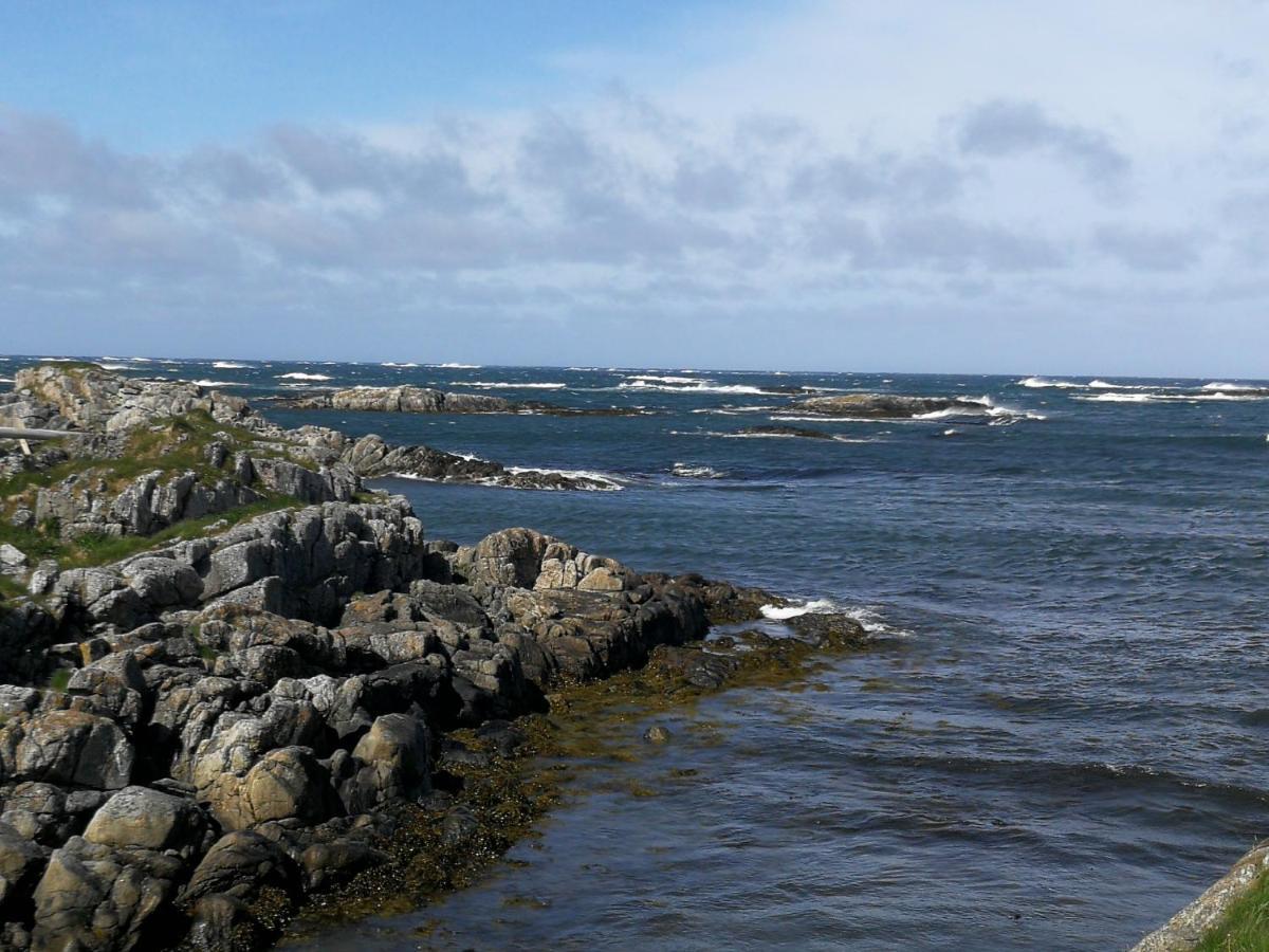 Apt 103 - Andenes Whale Safari Apartments Kültér fotó