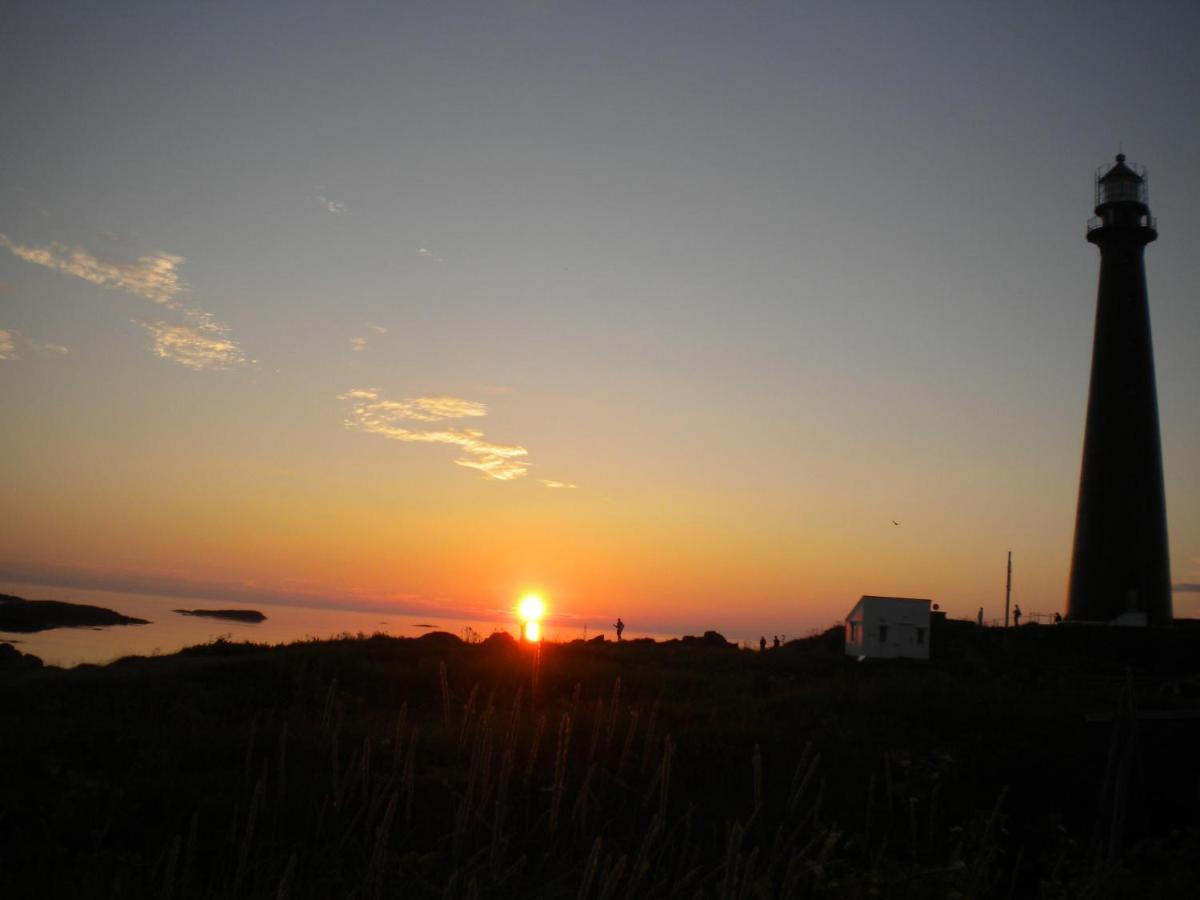 Apt 103 - Andenes Whale Safari Apartments Kültér fotó